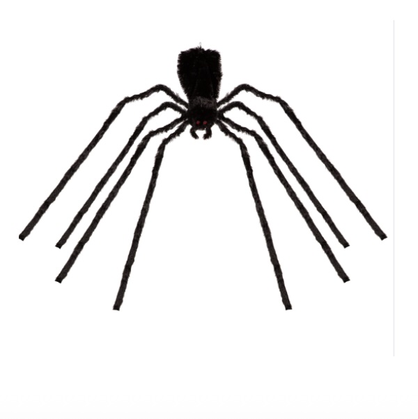 Black Spider  12'
