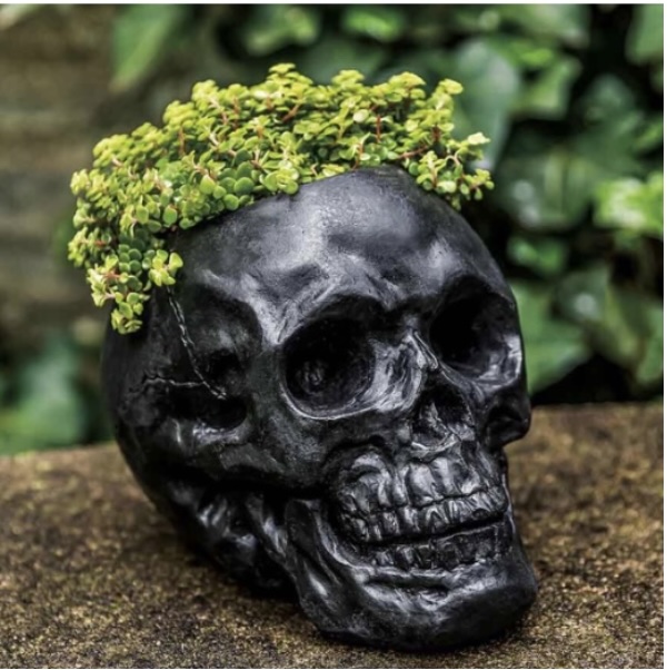 Cement Skull Planter