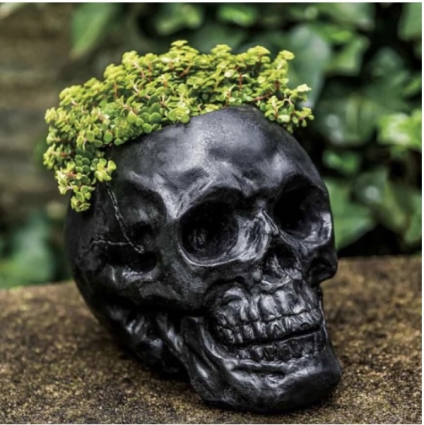 Cement Skull Planter