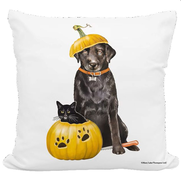 Cat & Dog with Pumpkin Pillow