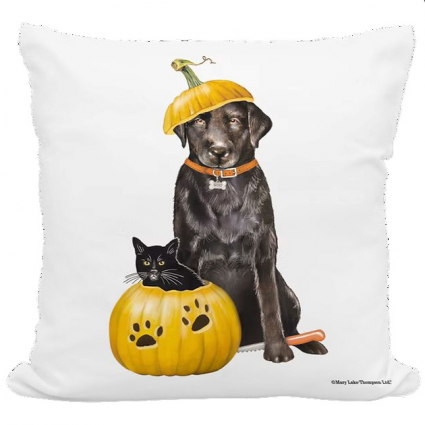 Cat & Dog with Pumpkin Pillow