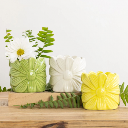 PLANTER, MINI DAISY ASORTMENT