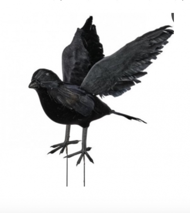 Open Wing Feather Black Crow 9"