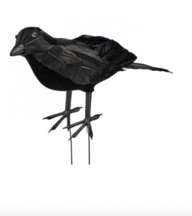 Halloween Crow with Black Feathers 9"