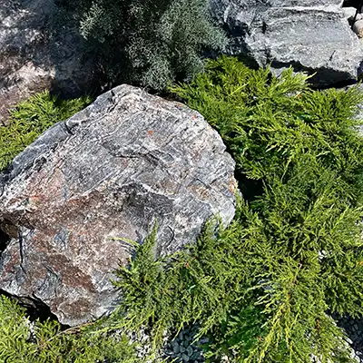 LANDSCAPE ROCK