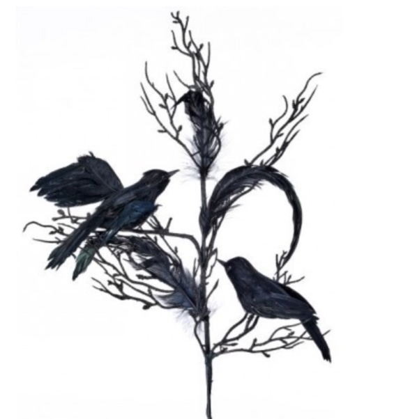 Black Feather with Raven Spray 24"