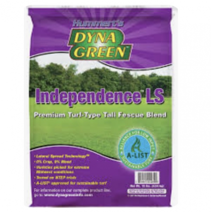 Dyna Green Independence LS 5lb