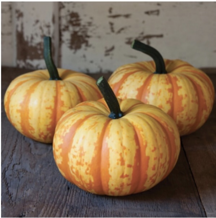 Blaze Pumpkin