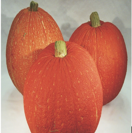 Red Eye Pumpkin
