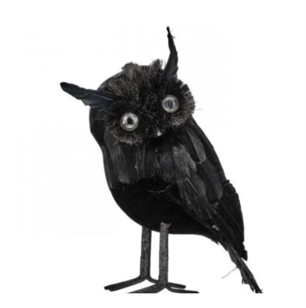 BATS &amp; BIRDS