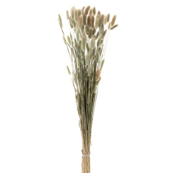 Dried Wheat Grass Bundle 36.5"