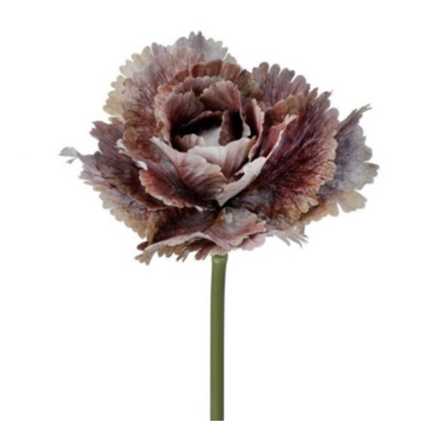 Autumn Cabbage Stem, Purple/Lavender, 10"