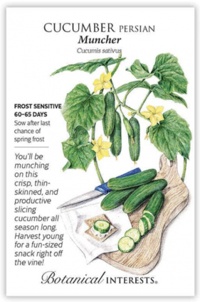Muncher Persian Cucumber Seeds