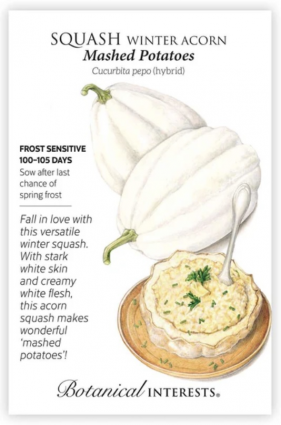 Mashed Potatoes Acorn Winter Squash Seeds