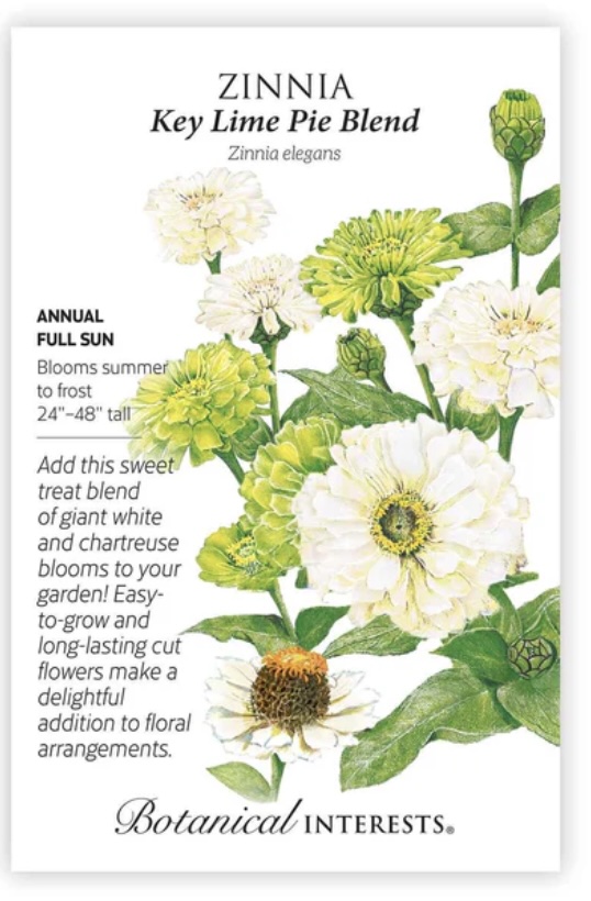 Key Lime Pie Blend Zinnia Seeds