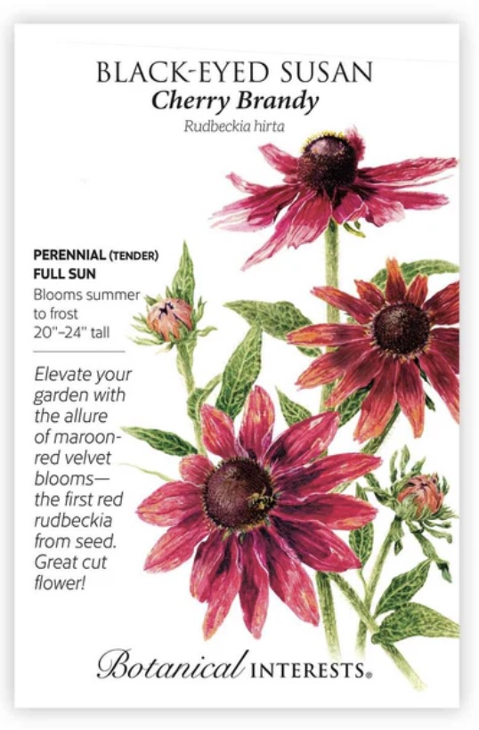 Cherry Brandy Black-Eyed Susan Seeds