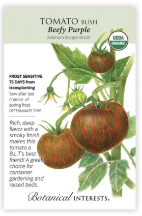 Organic Beefy Purple Bush Tomato Seeds