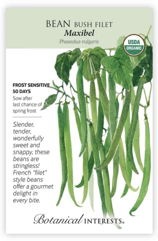 Organic Maxibel Filet Bush Bean Seeds