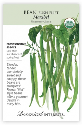 Organic Maxibel Filet Bush Bean Seeds