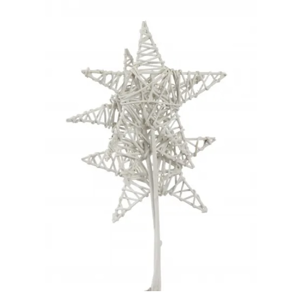 White on White Jumbo Lata Star 8" (3 Stems)