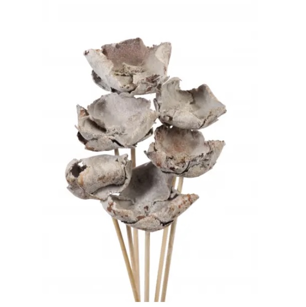 Snow Palm Caps (6 Stems)