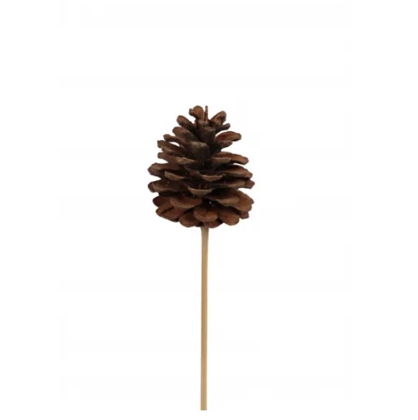 Natural Pine Cones Regular (Stem)