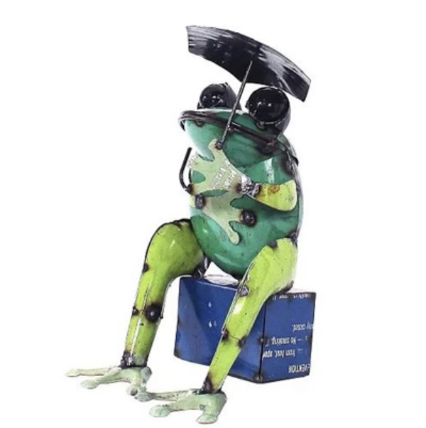 Frog Sitting with an Umbrella