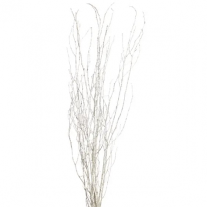 Jay Branches Champagne Glitter