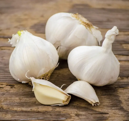 California White Garlic Bulbs 3 Pack