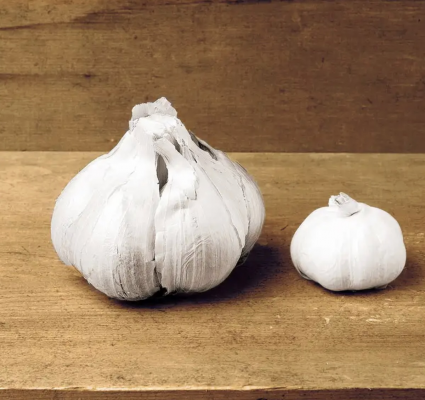 Elephant Garlic Bulbs 3 Pack