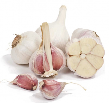 Russian Red Garlic Bulbs 3 Pack