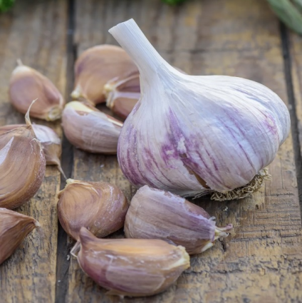 Spanish Roja Garlic Bulbs 3 Pack