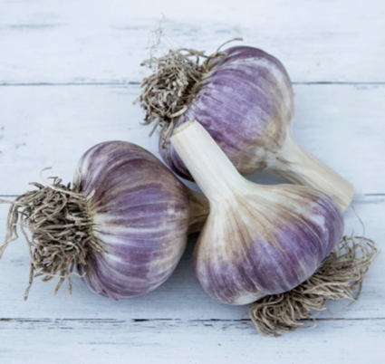 Metechi Garlic Bulbs 3 Pack