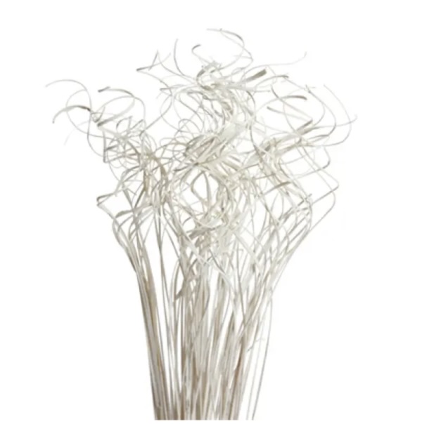 TWIG &amp; WILLOW PICKS