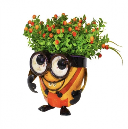 Crazy Me Pot  Look Up