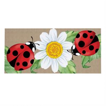 Welcoming Ladybugs Sassafras Switch Mat