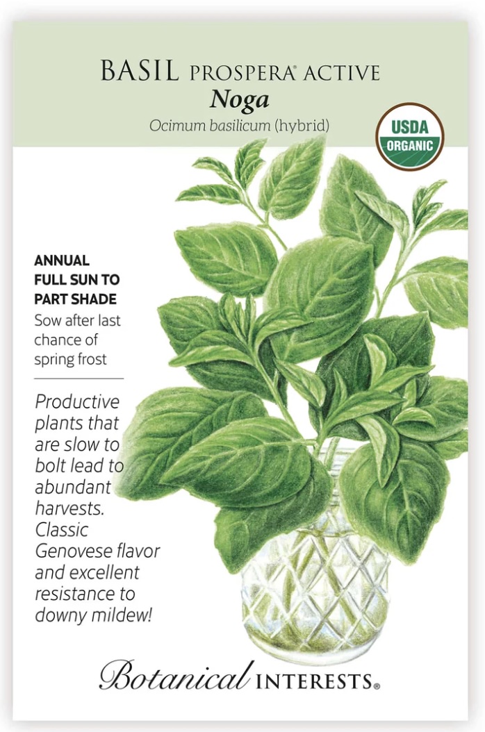 Organic Noga Basil Seeds