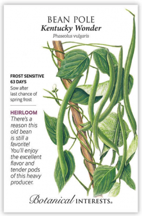 Kentucky Wonder Pole Bean Seeds