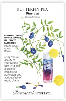 Blue Tea Butterfly Pea Seeds