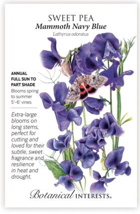 Mammoth Navy Blue Sweet Pea Seeds