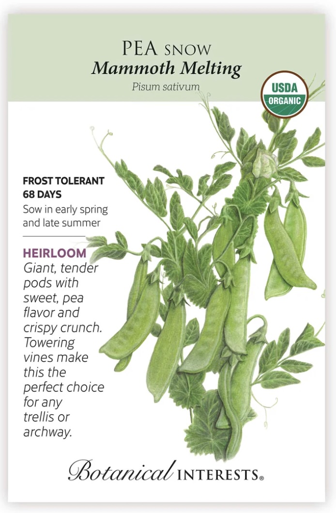 Organic Mammoth Melting Snow Pea Seeds