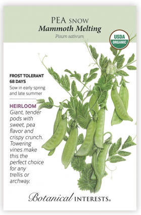 Organic Mammoth Melting Snow Pea Seeds