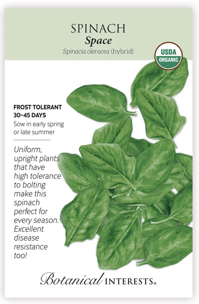 Organic Space Spinach Seeds