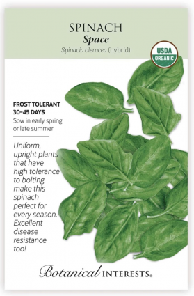 Organic Space Spinach Seeds