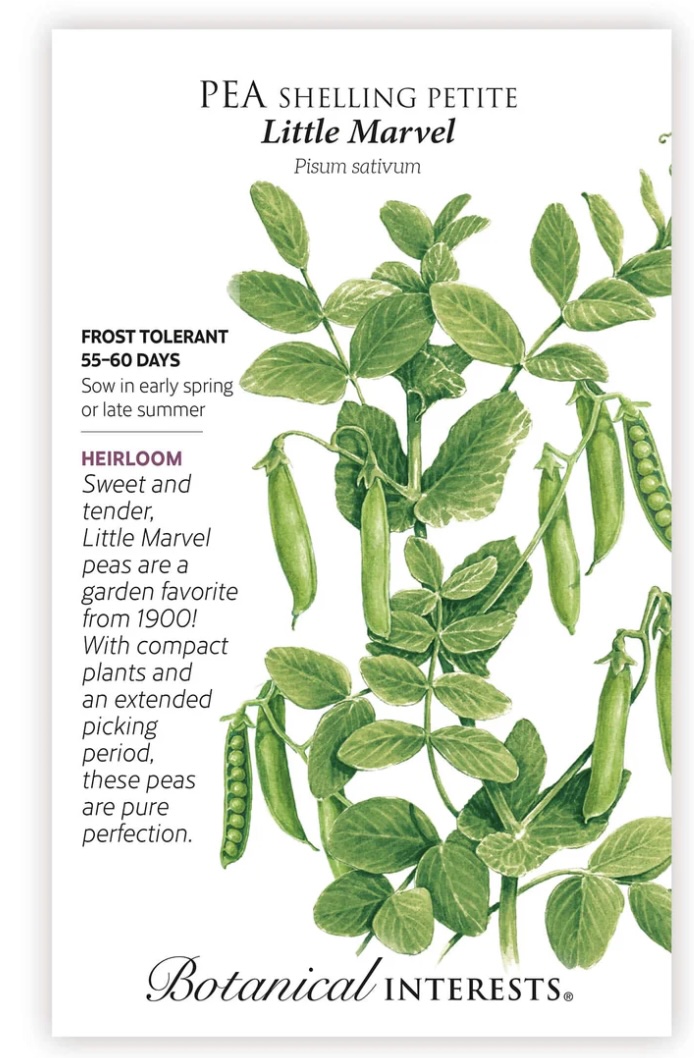 Little Marvel Petite Shelling Pea Seeds