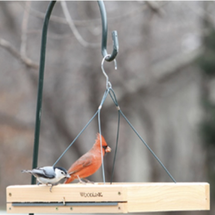 3-in-1 Platform Bird Feeder