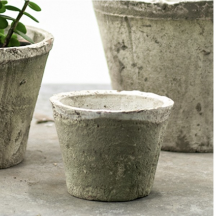 Cactus Whitestone Pot 5"