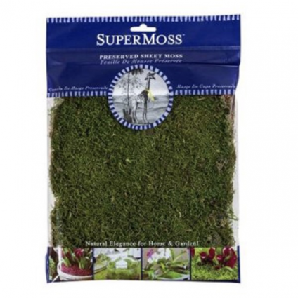 Sheet Moss - Fresh Green