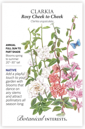 Rosy Cheek to Cheek Clarkia Seeds