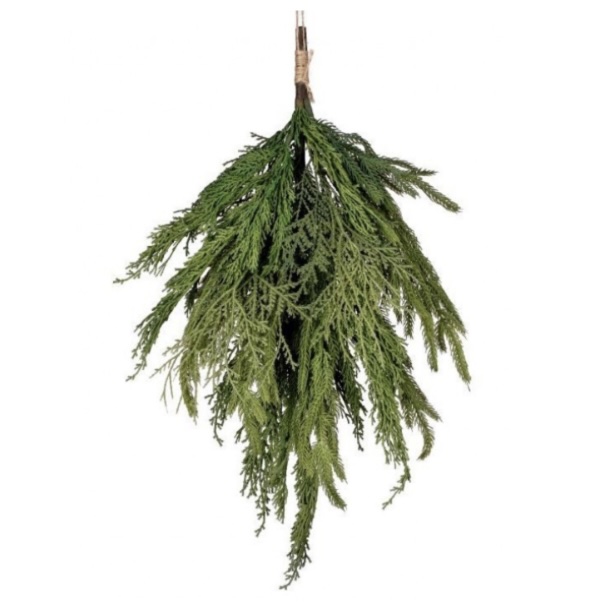 Cyprus & Norfolk Pine Bundle 20"